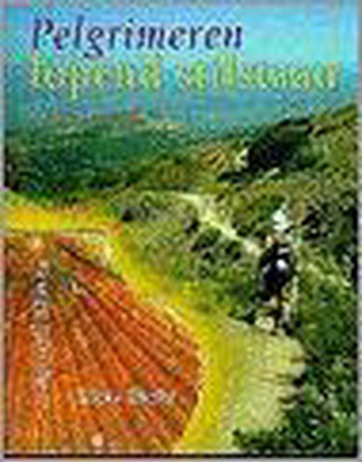 Pelgrimeren,Lopend stilstaan 9789073798366 R. Rieter, Boeken, Esoterie en Spiritualiteit, Gelezen, Verzenden