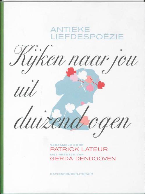 Kijken naar jou uit duizend ogen / Davidsfonds/Literair, Boeken, Kinderboeken | Jeugd | 13 jaar en ouder, Zo goed als nieuw, Verzenden