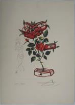Salvador Dali (1904-1989) - Rose : Amour chaste