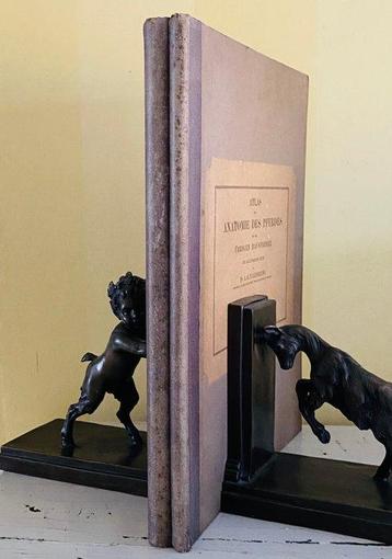 Dr. Leisering - Atlas der Anatomie des Pferdes und der