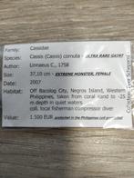 ***Verzamelobject van de hoogste klasse*** EXTRA GROTE