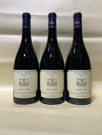 2022 Castello della Sala Pinot Nero - Umbrië IGT - 2 Flessen, Nieuw