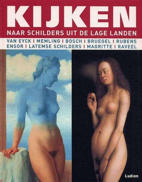 Kijken naar schilders uit de Lage Landen 9789055446407, Boeken, Kunst en Cultuur | Beeldend, Gelezen, Verzenden
