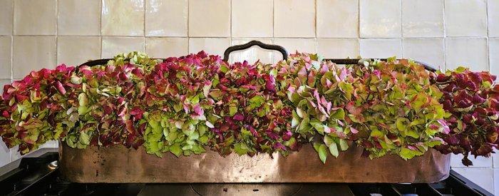 importante turbotière - provençaals - Braadpan -, Antiek en Kunst, Antiek | Keukengerei