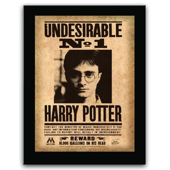 Harry Potter Undesirable No. 1 Sign 30 cm, Verzamelen, Harry Potter, Ophalen of Verzenden