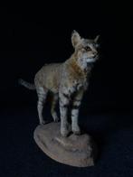 Chat sauvage dAfrique Support de corps entier pour, Nieuw