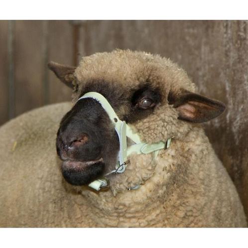 Kophalster voor schapen+bokken leder - kerbl, Dieren en Toebehoren, Stalling en Weidegang