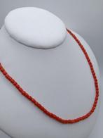 Bloedkoraal Koraal - Corallium rubrum (Zonder Minimumprijs), Verzamelen