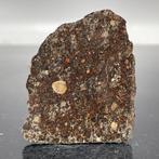LL3.1 Chondriet-meteoriet NWA 13567 - 8.5 g