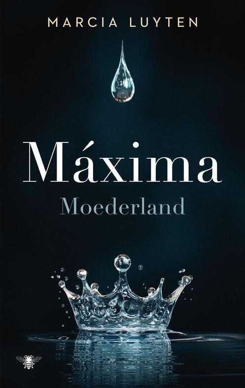 Marcel Proust - Op zoek naar de verloren tijd - Maxima, Antiek en Kunst, Antiek | Boeken en Manuscripten, Verzenden