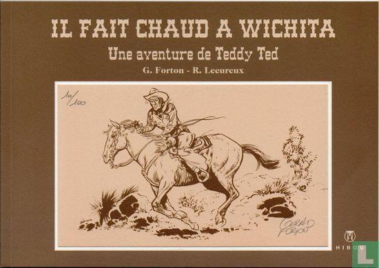Teddy Ted - Il fait chaud à Wichita - 2010, Boeken, Stripverhalen, Zo goed als nieuw, Eén stripboek, Verzenden