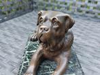 Sculpture, Bulldog - 24 cm - Bronze