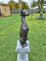 Beeld, XL Greyhound Dog - New - 76 cm - Hars