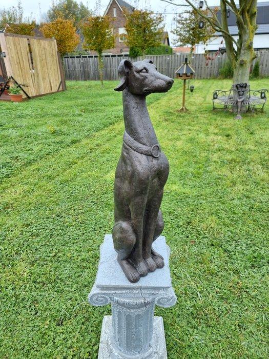 Beeld, XL Greyhound Dog - New - 76 cm - Hars, Antiek en Kunst, Curiosa en Brocante