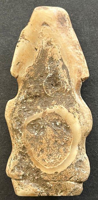 Beeldje - Gegraveerde Zemi - Schelp, Verzamelen, Mineralen en Fossielen