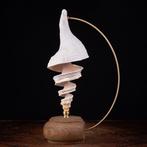 Marine Beauty Spyral - Artistieke Basis - Taxidermie, Nieuw