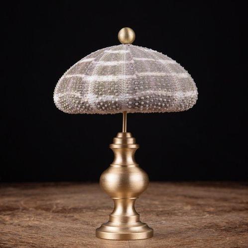 Een zee-egel op een elegante basis van brons. Taxidermie, Verzamelen, Dierenverzamelingen
