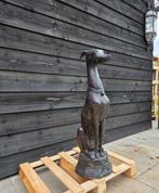 Beeld, XL Bronze Greyhound Dog - 89 cm - Brons - 2026, Antiek en Kunst