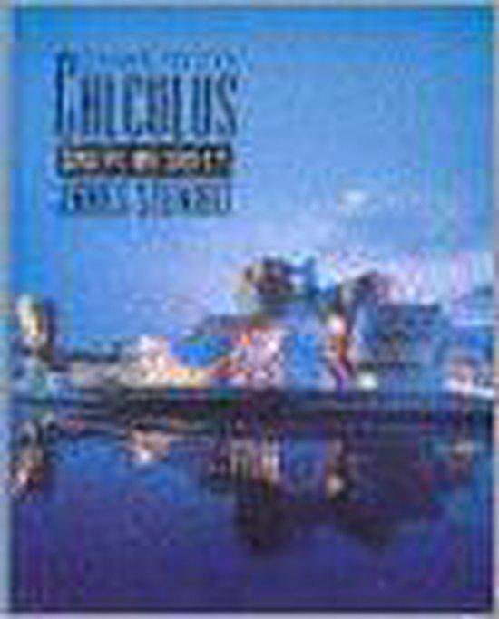 Calculus 9780534437367 Roland Minton, Boeken, Taal | Engels, Gelezen, Verzenden