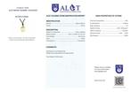 ALGT gecertificeerd - Enorme natuurlijke citrien hanger Een, Verzamelen