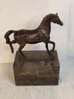 Carvin - Beeld, Bronzen paard op sokkel carvin - 20 cm -, Antiek en Kunst