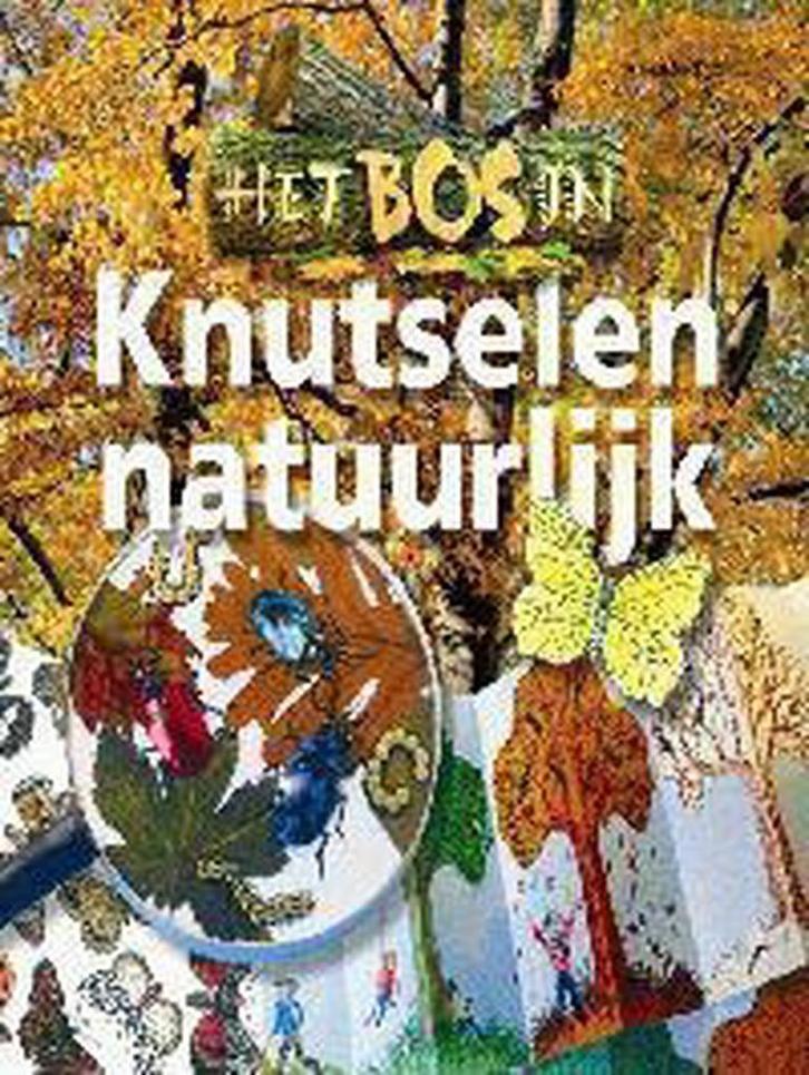 Knutselen natuurlijk / Het Bos in 9789021333410 M. Rademaker, Livres, Livres Autre, Envoi