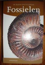 Fossielen 9783833117008, Boeken, Gelezen, Hervé Chaumeton, Verzenden