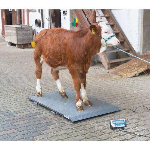 Dierenweegschaal ps2000 tot 1000kg - kerbl, Doe-het-zelf en Bouw, Meetapparatuur, Nieuw