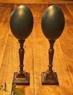 Emoe Ei - Dromaius novaehollandiae - 330 mm - 90 mm - 90 mm-, Verzamelen, Nieuw