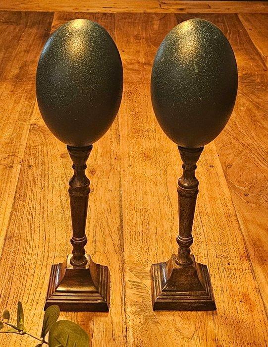 Emoe Ei - Dromaius novaehollandiae - 330 mm - 90 mm - 90 mm-, Verzamelen, Dierenverzamelingen