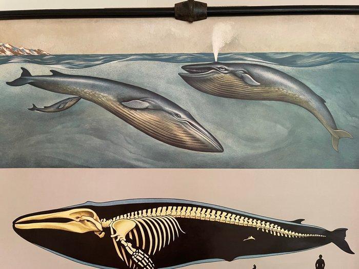 Junge-Koch-Quentell - Lehrmittelverlag Hagmann, Düsseldorf -, Antiek en Kunst, Kunst | Tekeningen en Fotografie