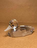 Swarovski - Figurine - Eend Groot - Cristal