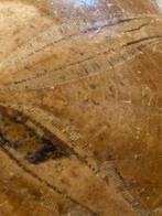 152 g de zee-egel Clypeus plotii - Gefossiliseerd dier -, Verzamelen