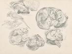 Anton Pieck (1895-1987) - Study of dogs and birds, Antiek en Kunst, Kunst | Schilderijen | Klassiek