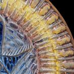 Sciannella pour Coceram - Assiette murale - D. 37 cm -