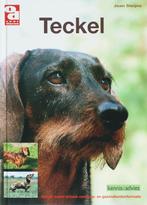 Teckel / Over Dieren 9789058216045 J. Steijns, Boeken, Verzenden, Gelezen, J. Steijns