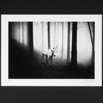 Frank Machalowski - tierwald#157 - Unicorn, Antiek en Kunst