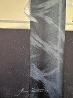 Hans Kanters (1947 - Ledas night