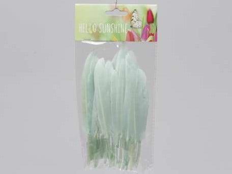 Penveren ca. 14cm 24 stuks Groen Echte veren, Huis en Inrichting, Woonaccessoires | Kunstplanten en Kunstbloemen, Nieuw