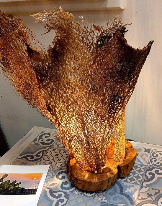 Francesco Ciurlia (1971) - sculptuur, Caverna - 42 cm -, Antiek en Kunst, Curiosa en Brocante