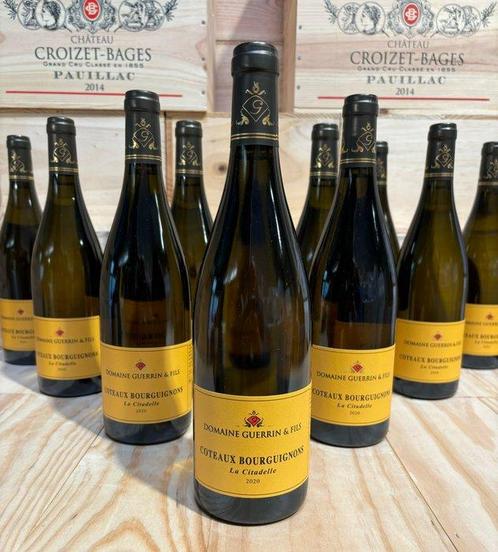 2020 Domaine Guerrin Cuvée la Citadelle - Bourgogne - 12, Verzamelen, Wijnen