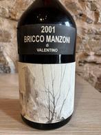2001 Bricco Manzoni di Valentino - Piëmont DOC - 1 Dubbele, Collections