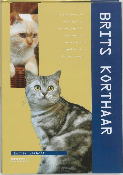 Britse Korthaar 9789058410139 Esther Verhoef, Boeken, Hobby en Vrije tijd, Zo goed als nieuw, Verzenden