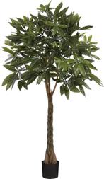 2dekans | Mica Decorations Pachira Kunstplant - H120 x Ø50, Huis en Inrichting, Ophalen of Verzenden, Nieuw