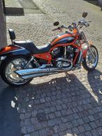 Harley-Davidson - V-ROD - VRSCSE2 - Screamin Eagle - 2006, Motoren