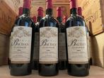 2004 Château Baudan - Haut-Médoc Cru Bourgeois - 12 Flessen