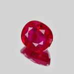 1 pcs Rood Robijn - 1.10 ct - Gemological Institute of, Handtassen en Accessoires, Edelstenen, Nieuw