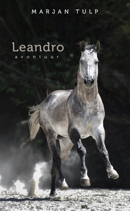 Leandro 9789082109504 Marjan Tulp, Boeken, Romans, Gelezen, Verzenden