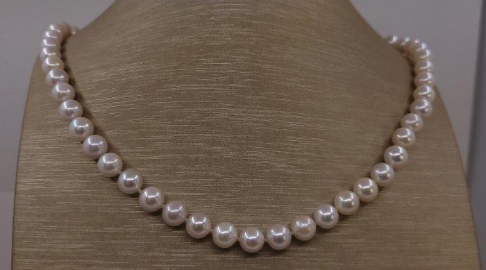 Halsketting 7x7,5mm heldere Akoya parels, Handtassen en Accessoires, Kettingen