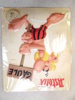 Asterix en Obelix lot van 2x blikken strip wand bordjes -, Boeken, Nieuw